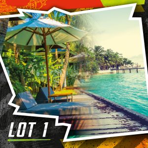 Lot 1 - 5 Truck Deal